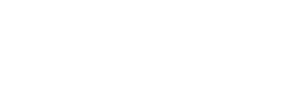 Optimizing Alpha logo
